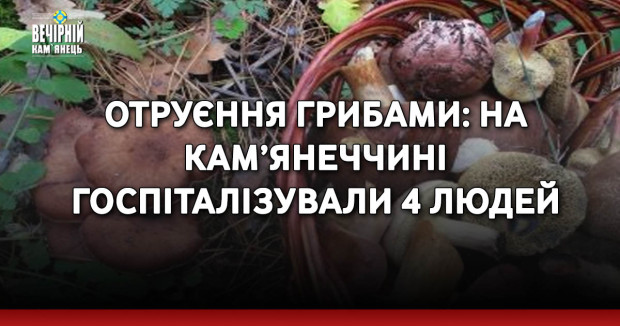 Отруєння грибами: на Кам’янеччині госпіталізували 4 людей