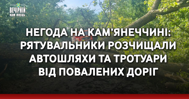 Негода на Кам’янеччині: рятувальники розчищали автошляхи та тротуари від повалених доріг