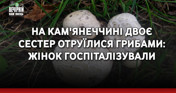 На Кам'янеччині двоє сестер отруїлися грибами: жінок госпіталізували