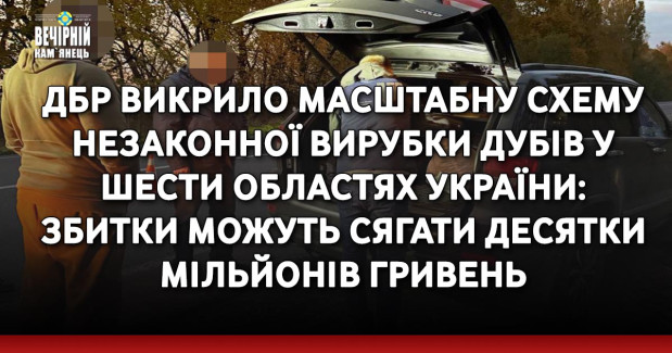 ДБР викрило масштабну схему незаконної вирубки дубів у шести областях України: збитки можуть сягати десятки мільйонів гривень