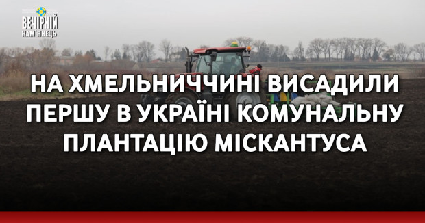 На Хмельниччині висадили першу в Україні комунальну плантацію міскантуса