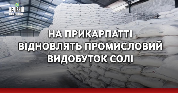 На Прикарпатті відновлять промисловий видобуток солі
