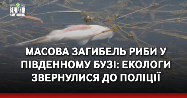 Масова загибель риби у Південному Бузі: екологи звернулися до поліції