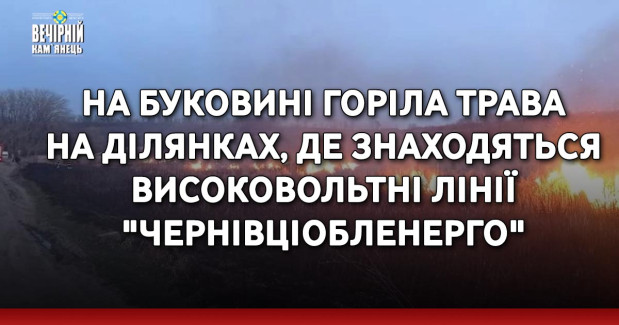 На Буковині горіла трава на ділянках, де знаходяться високовольтні лінії "Чернівціобленерго"