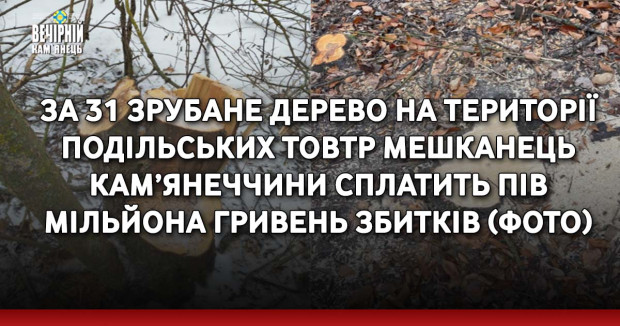 За 31 зрубане дерево на території Подільських Товтр мешканець Кам’янеччини сплатить пів мільйона гривень збитків (ФОТО)