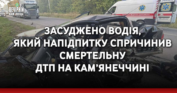 Засуджено водія, який напідпитку спричинив смертельну ДТП на Кам’янеччині