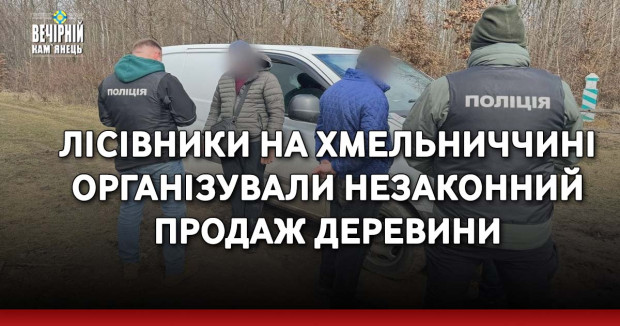 Лісівники на Хмельниччині організували незаконний продаж деревини