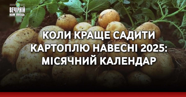Коли краще садити картоплю навесні 2025: місячний календар