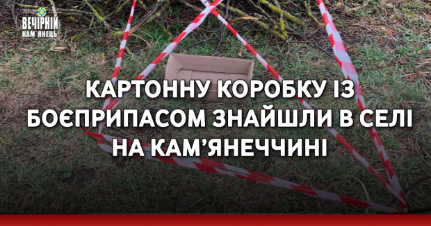 Картонну коробку із боєприпасом знайшли в селі на Кам’янеччині