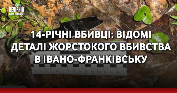 14-річні вбивці: відомі деталі жорстокого вбивства в Івано-Франківську
