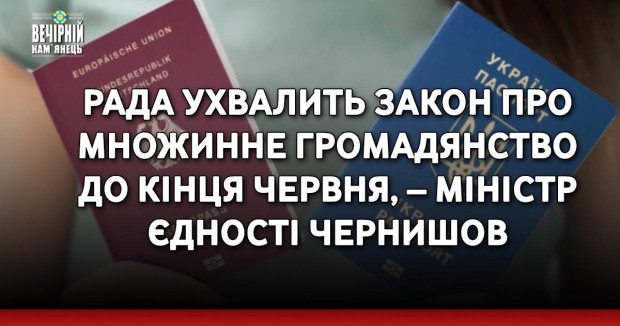 Рада ухвалить закон про множинне громадянство до кінця червня, – міністр єдності Чернишов