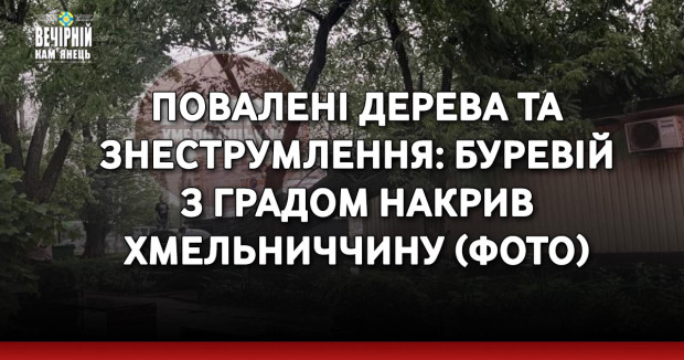 Повалені дерева та знеструмлення: буревій з градом накрив Хмельниччину (ФОТО)