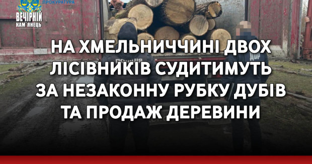 На Хмельниччині двох лісівників судитимуть за незаконну рубку дубів та продаж деревини