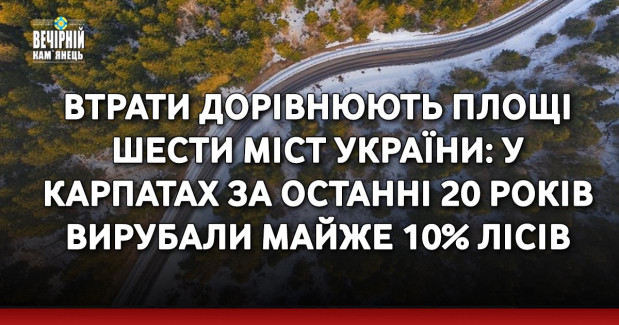 Втрати дорівнюють площі шести міст України: У Карпатах за останні 20 років вирубали майже 10% лісів