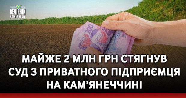 Майже 2 млн грн стягнув суд з приватного підприємця на Кам’янеччині