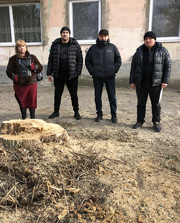 депутати біля пенька