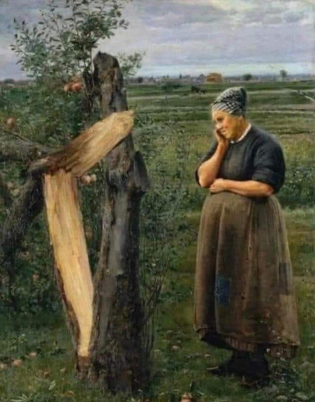 дерева рубали