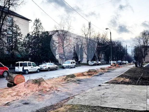 зрізані дерева пдату