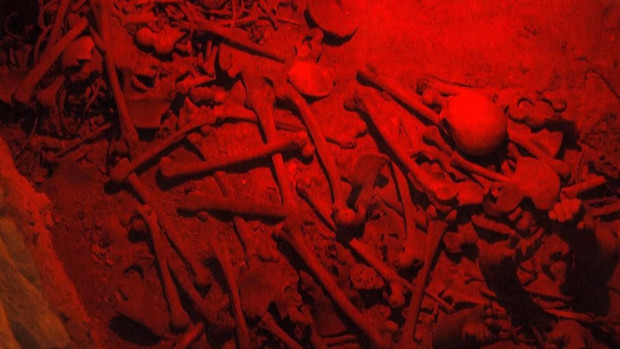 кістки музей