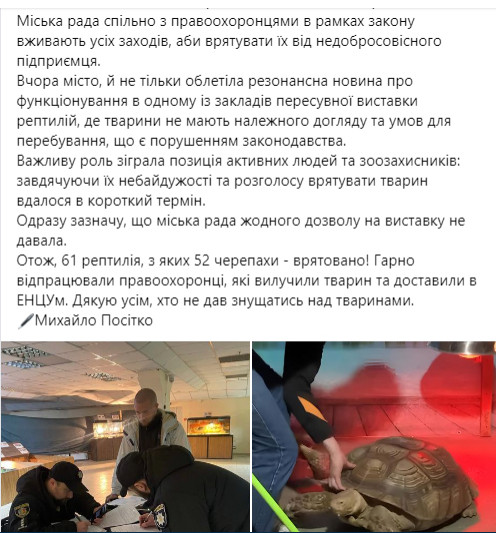 міська рада про черепах