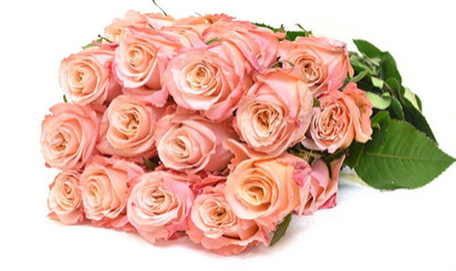 троянди реклама