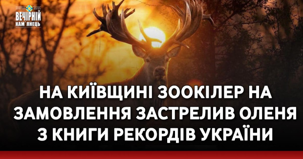 На Київщині зоокілер на замовлення застрелив оленя з Книги рекордів України