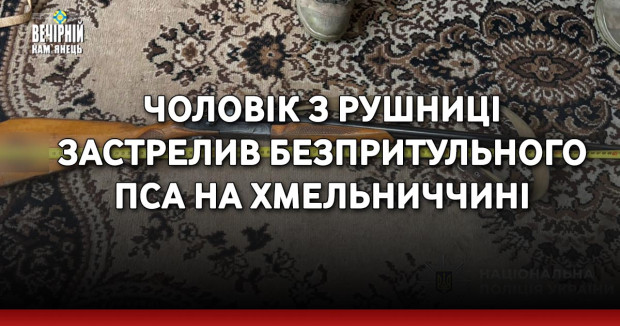Чоловік з рушниці застрелив безпритульного пса на Хмельниччині