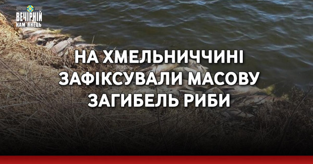 На Хмельниччині зафіксували масову загибель риби