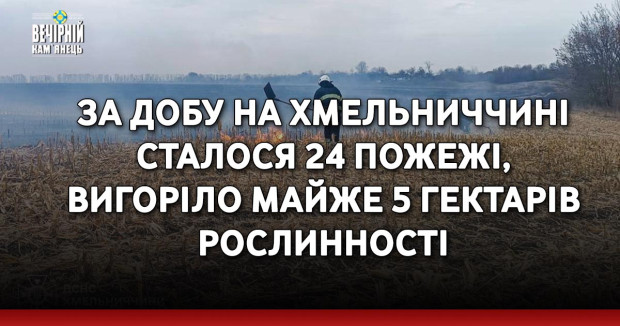 За добу на Хмельниччині сталося 24 пожежі, вигоріло майже 5 гектарів рослинності