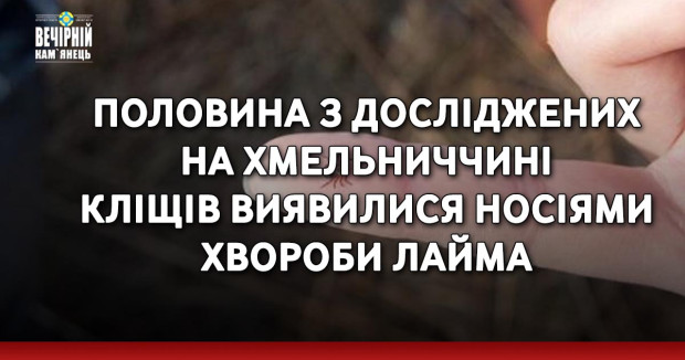 Половина з досліджених кліщів на Хмельниччині виявилися носіями хвороби Лайма