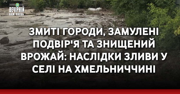 Змиті городи, замулені подвір'я та знищений врожай: наслідки зливи у селі на Хмельниччині