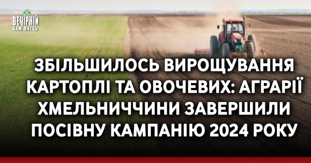 Збільшилось вирощування картоплі та овочевих: аграрії Хмельниччини завершили посівну кампанію 2024 року